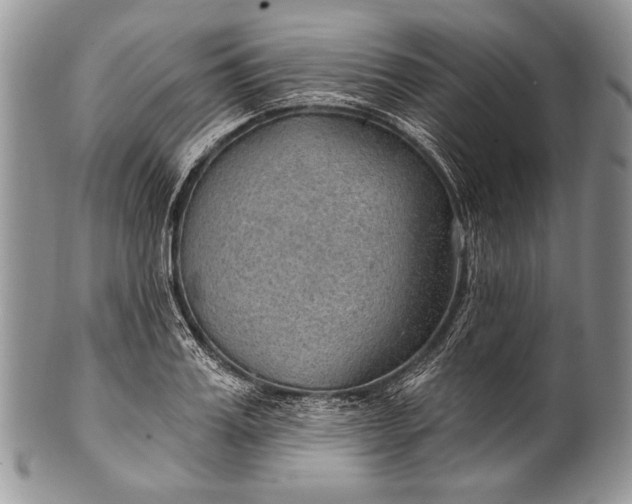 X0000100360987200806201600