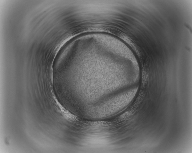 X0000100360988200806201600