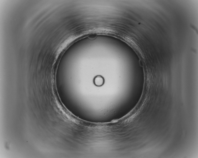 X0000100360989200806201600