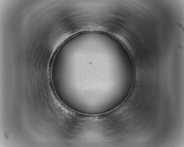 X0000100360990200806201600