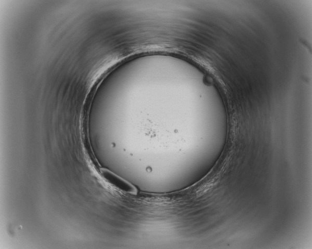 X0000100360991200806201600