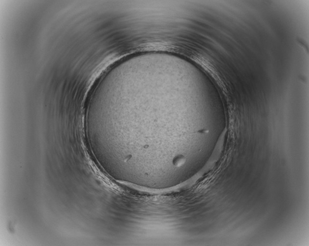 X0000100360992200806201600