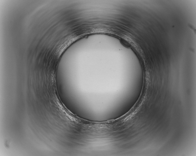 X0000100360993200806201600