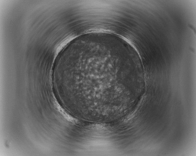 X0000100360995200806201600