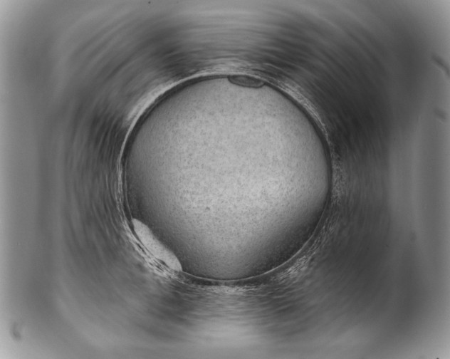 X0000100360996200806201600