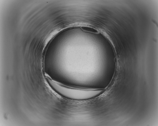 X0000100360997200806201600