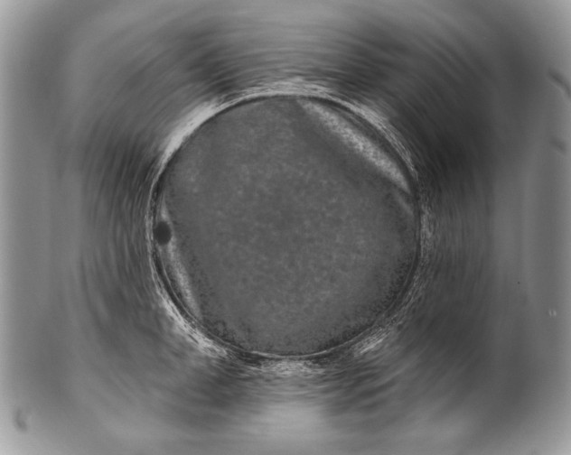 X0000100360998200806201600