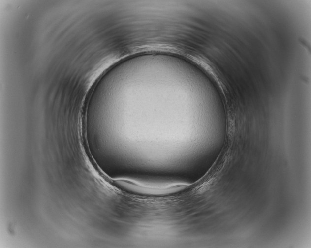 X0000100360999200806201600