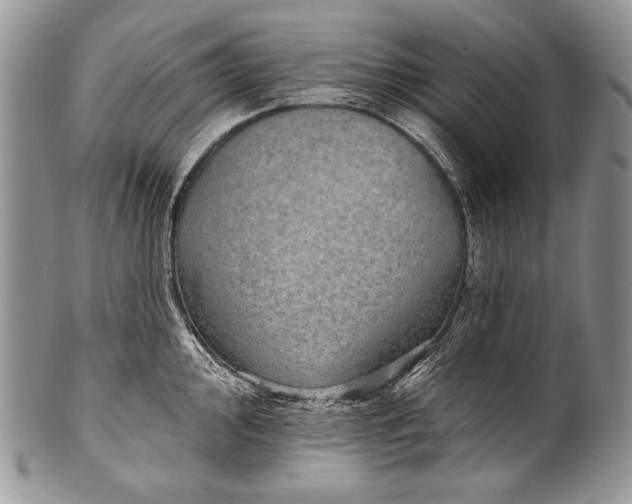 X0000100361000200806201600