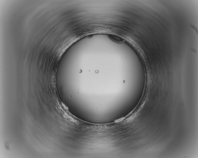 X0000100361001200806201600