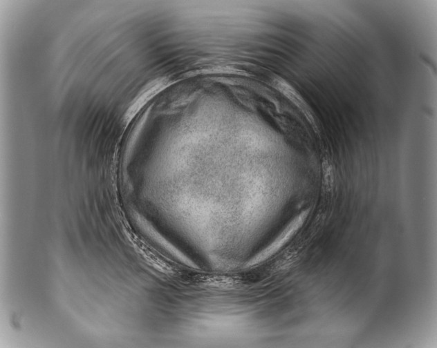 X0000100361002200806201600