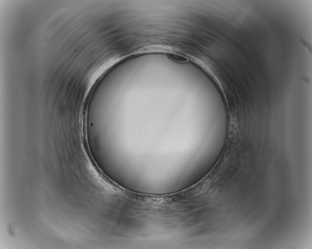 X0000100361003200806201600