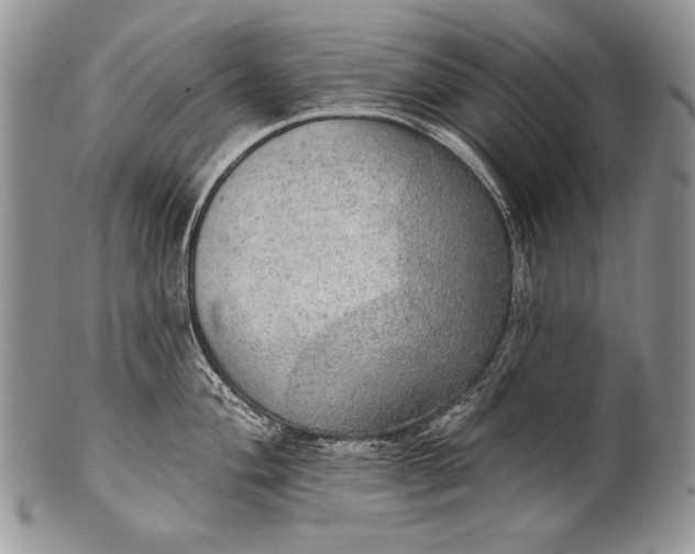 X0000100361004200806201600