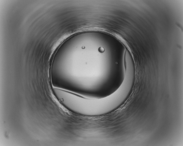 X0000100361005200806201600