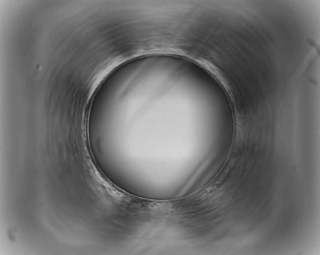 X0000100361006200806201600