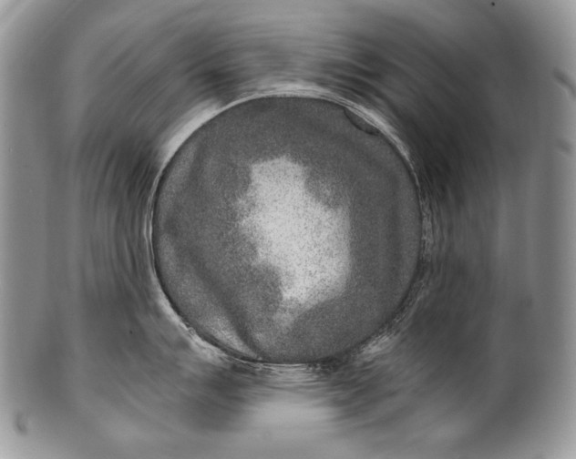 X0000100361007200806201600