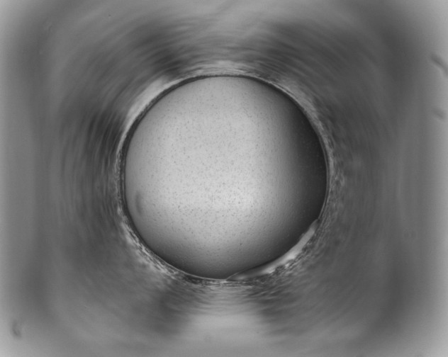 X0000100361008200806201600