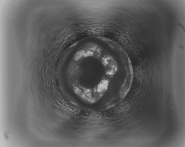 X0000100361009200806201559