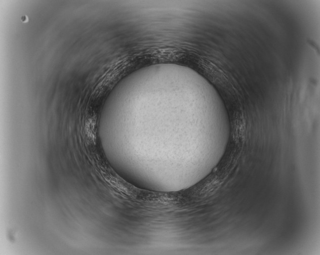 X0000100361010200806201559