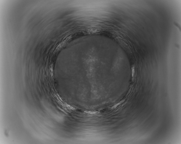 X0000100361011200806201559