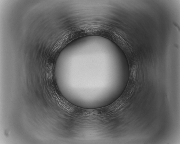 X0000100361012200806201559