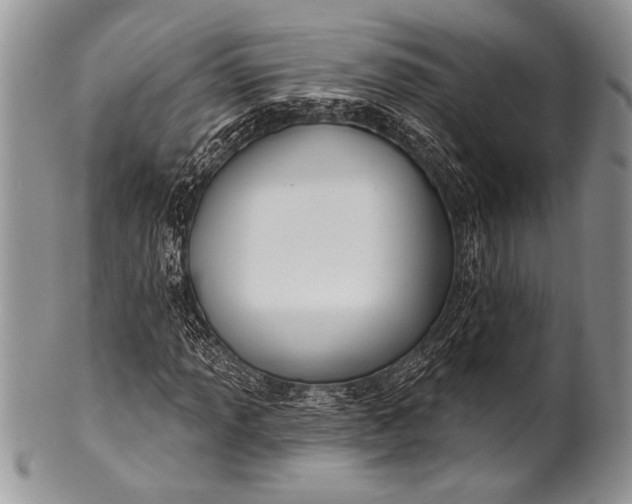 X0000100361013200806201559