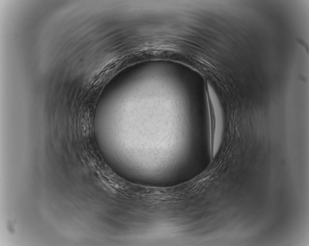 X0000100361014200806201559