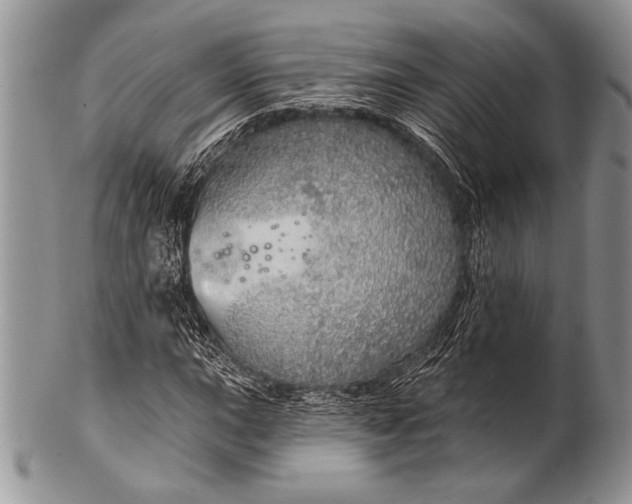 X0000100361015200806201559