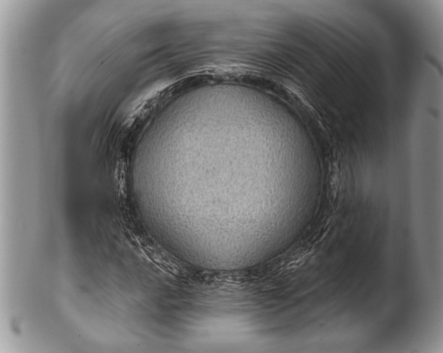 X0000100361016200806201559