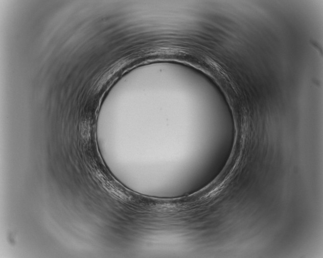 X0000100361017200806201559