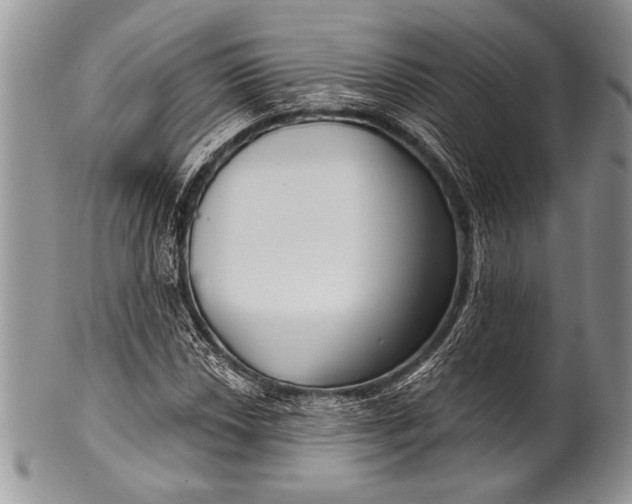 X0000100361018200806201559