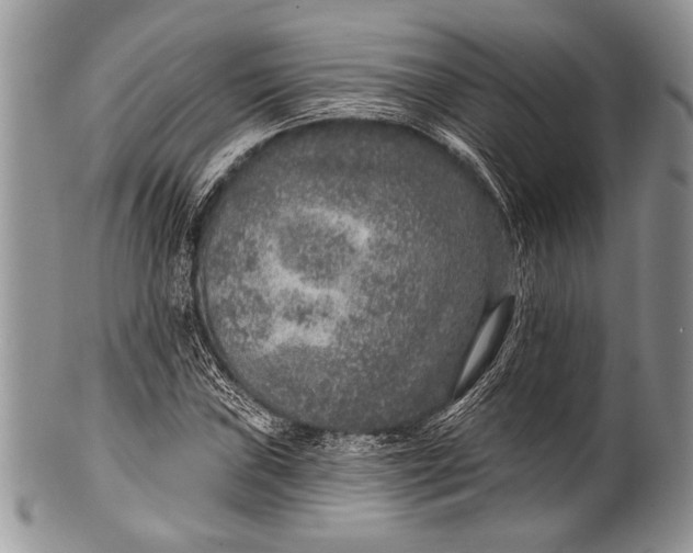 X0000100361019200806201559