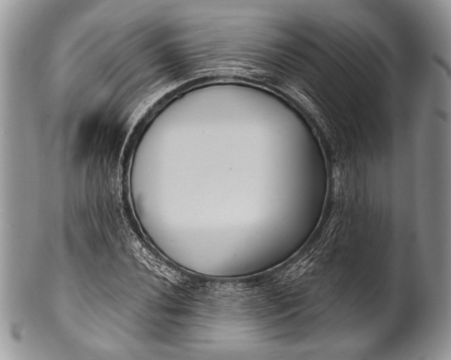 X0000100361020200806201559