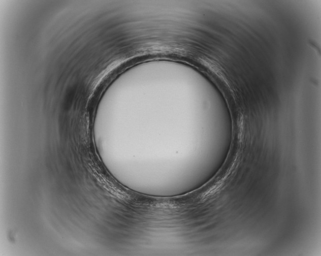 X0000100361021200806201559