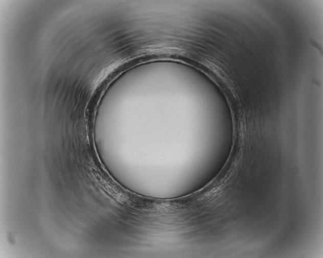 X0000100361022200806201559