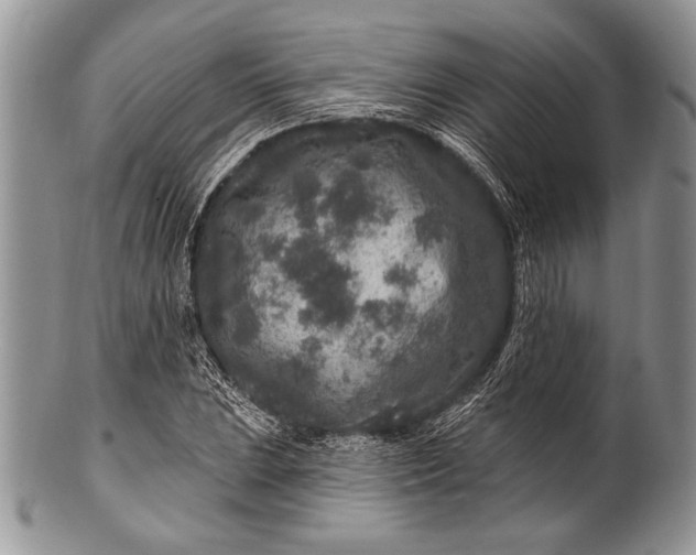 X0000100361023200806201559