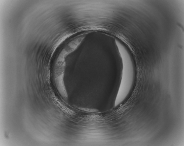 X0000100361024200806201559