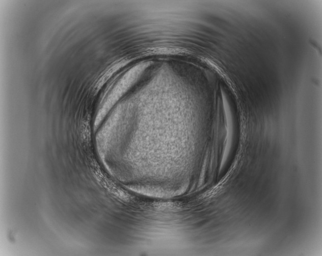 X0000100361025200806201559