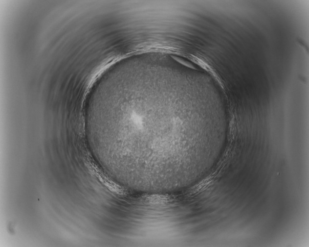 X0000100361027200806201600