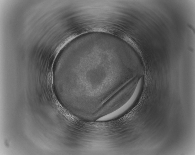 X0000100361028200806201600