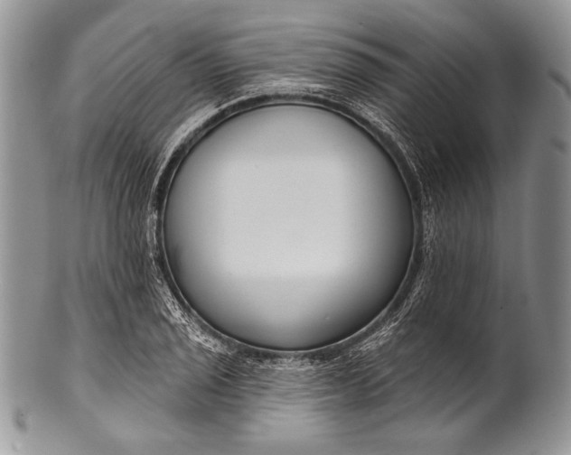 X0000100361029200806201600