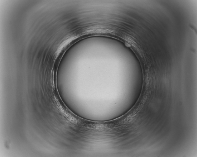 X0000100361030200806201600