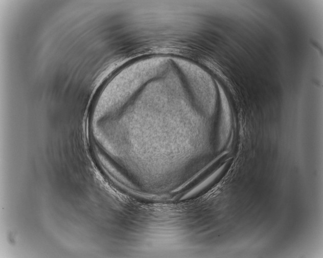 X0000100361032200806201600