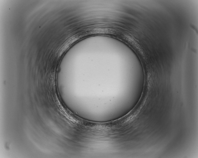 X0000100361033200806201600