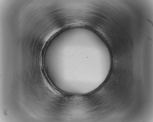 X0000100361034200806201600