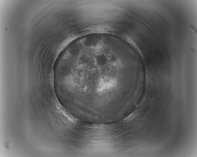 X0000100361035200806201600