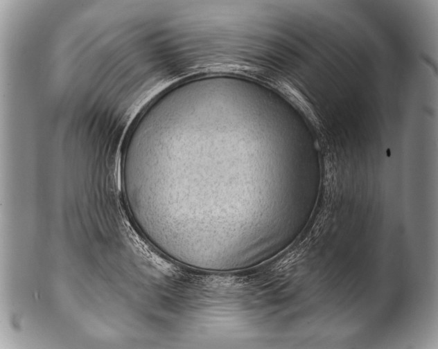 X0000100361036200806201600