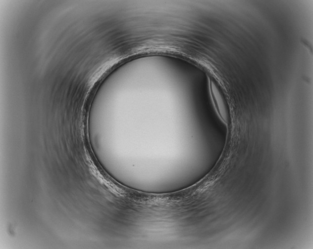 X0000100361038200806201600