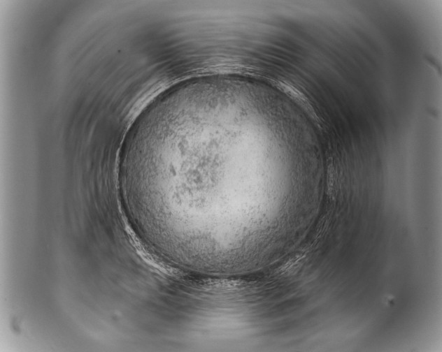 X0000100361039200806201600