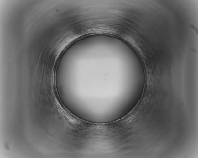 X0000100361040200806201600